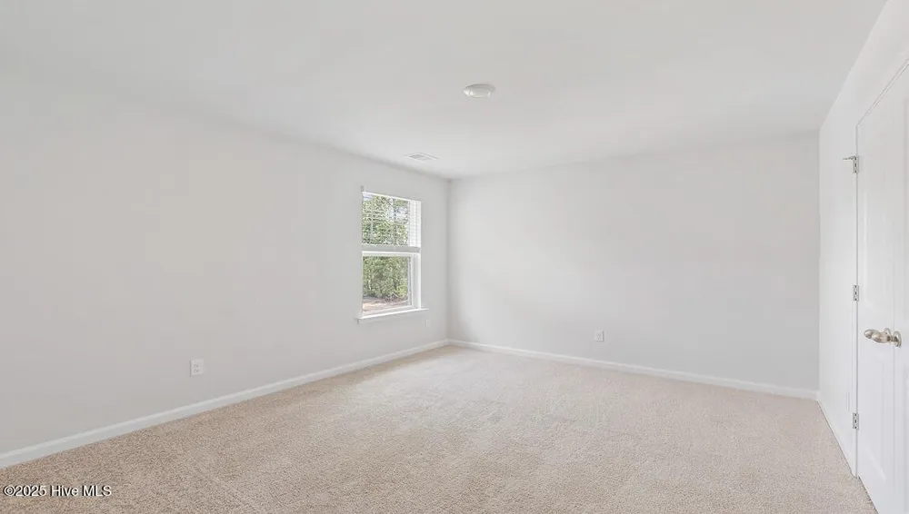 1106 Pampas Grass Drive #Lot 339 Castle Hayne, NC 28429