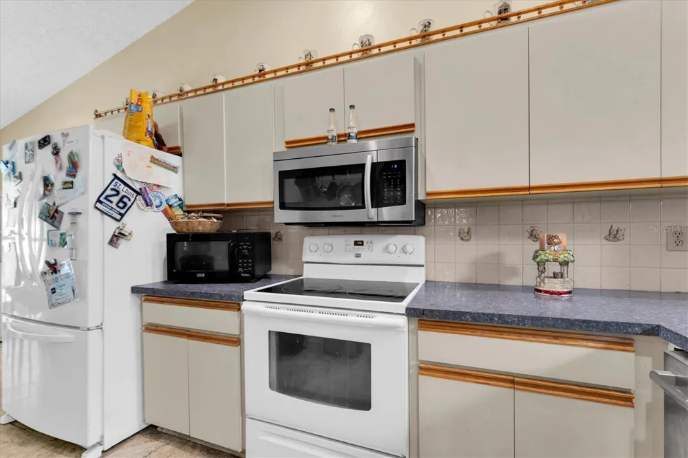 10833 LIVINGSTON DRIVE New Port Richey, FL 34654