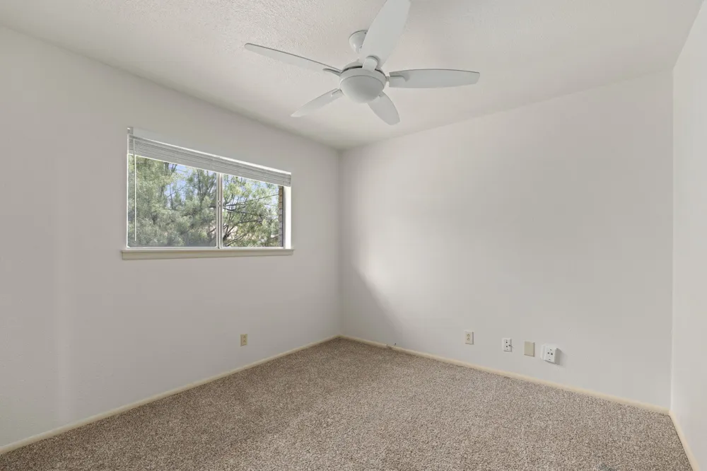 6707 Cherryleaf Street Leon Valley, TX 78238