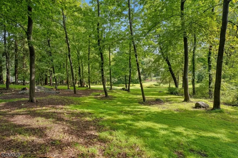 1 Woodside Drive Montville, NJ 07005