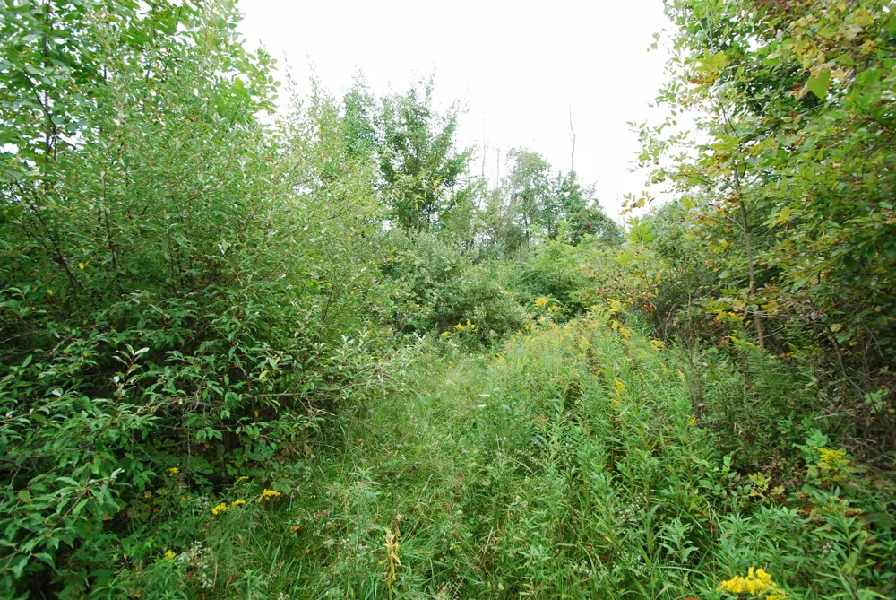 4370 Lake Drive Richland Township, MI 48756