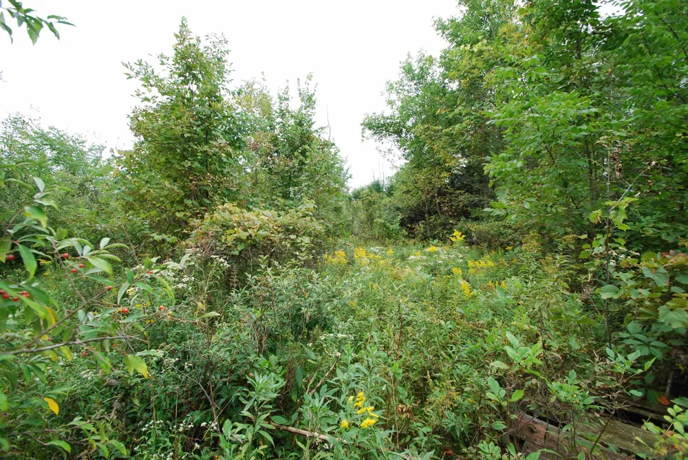 4370 Lake Drive Richland Township, MI 48756