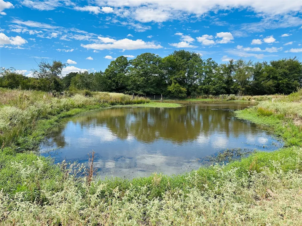 14203 County Road 2900 Eustace, TX 75124