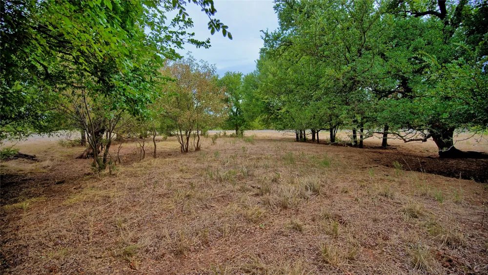 Doss Loop Henrietta, TX 76365