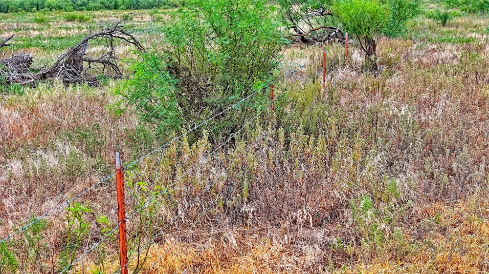 Doss Loop Henrietta, TX 76365
