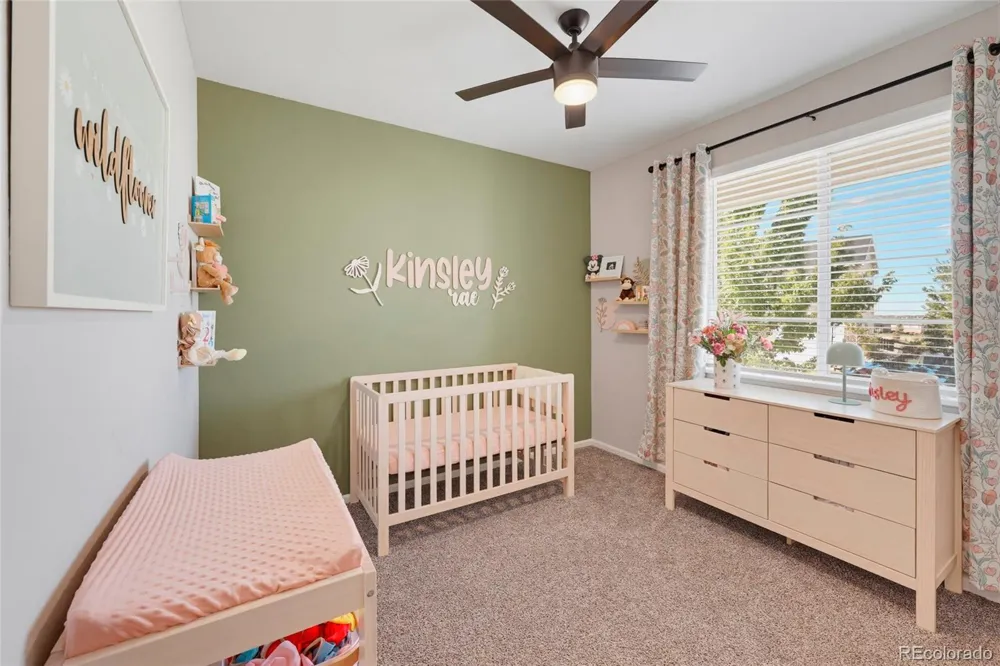 22622 E Narrowleaf Circle Aurora, CO 80016