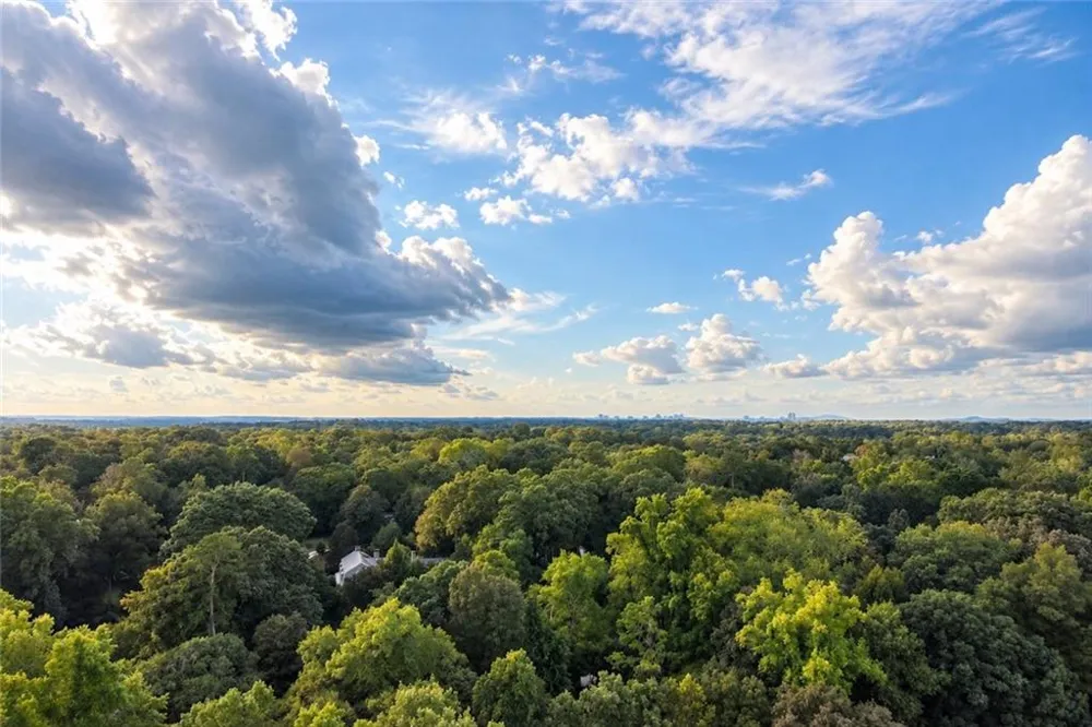 2724 Peachtree Road NW #Upper Penthouse Atlanta, GA 30305