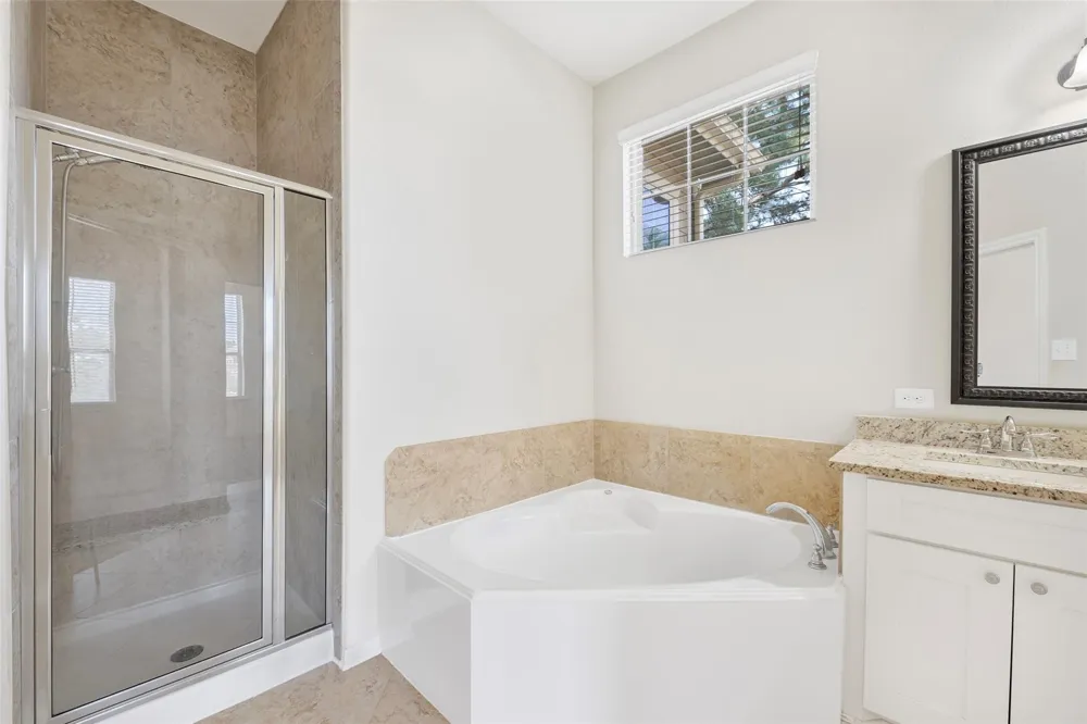 202 Cheswood Forest Place Montgomery, TX 77316