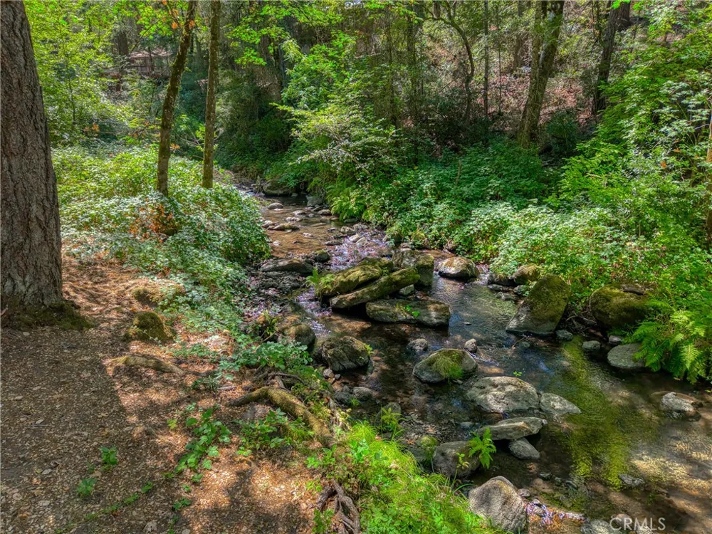 15785 Rainbow Drive Cobb, CA 95426