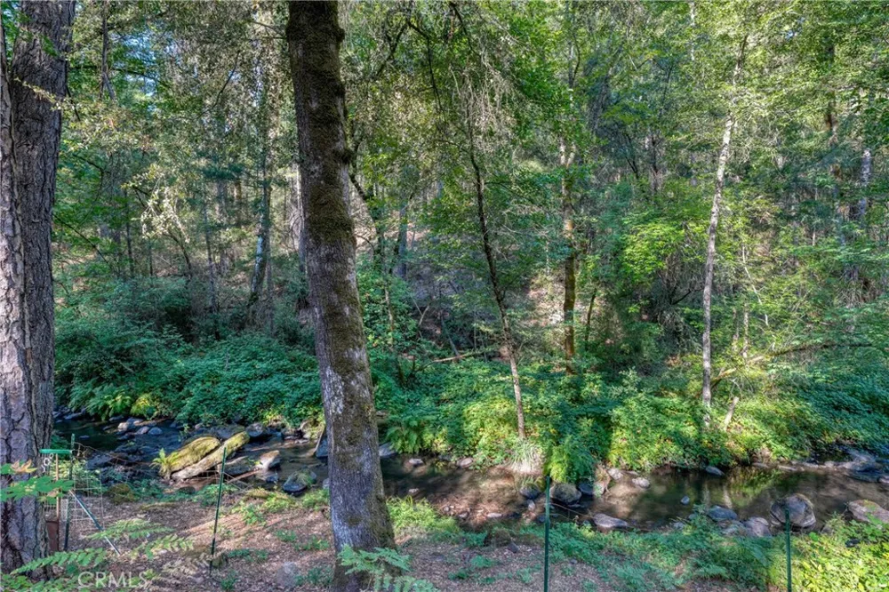 15785 Rainbow Drive Cobb, CA 95426