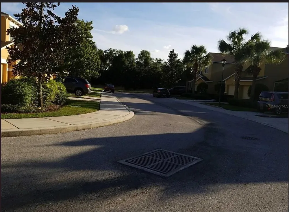 11636 MANGO RIDGE BOULEVARD Seffner, FL 33584