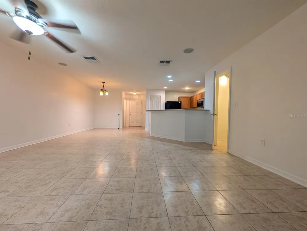 11636 MANGO RIDGE BOULEVARD Seffner, FL 33584