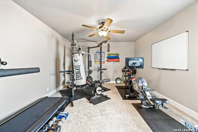 8906 Virginia Rye San Antonio, TX 78254