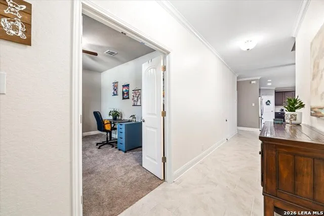 8906 Virginia Rye San Antonio, TX 78254