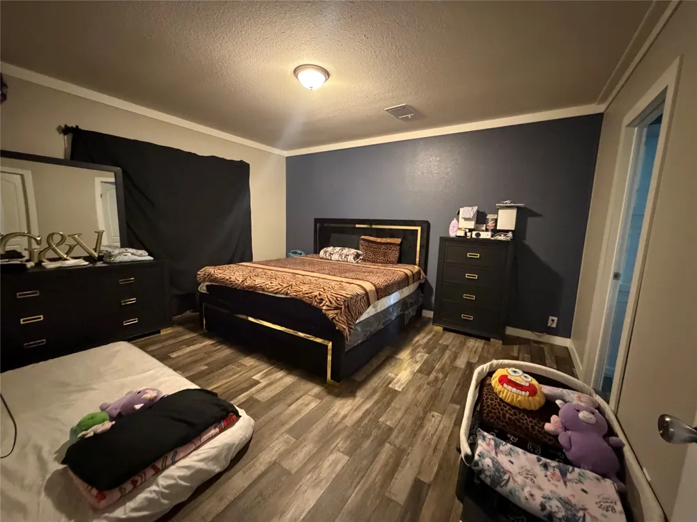 167 Guajolote Street Cedar Creek, TX 78612