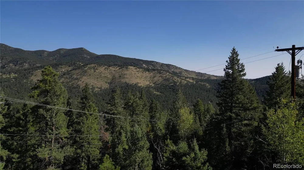 33864 bergen view Evergreen, CO 80439