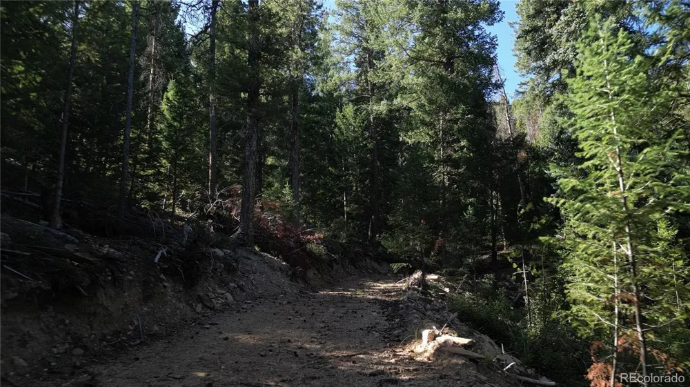 33864 bergen view Evergreen, CO 80439