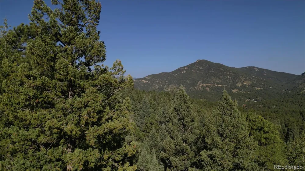 33864 bergen view Evergreen, CO 80439