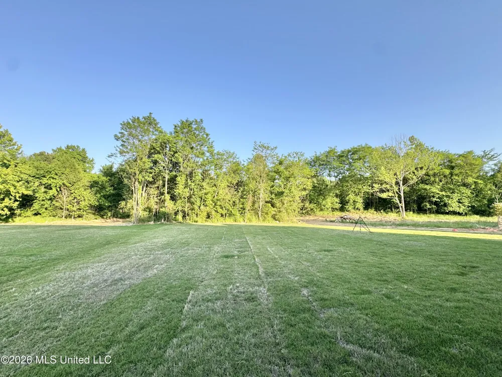 324 Oakworth Drive Hernando, MS 38632