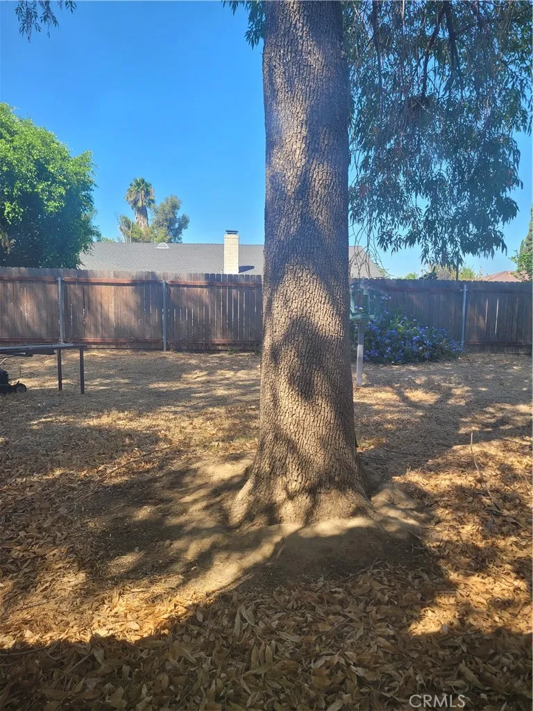 11642 Welebir Street Loma Linda, CA 92354