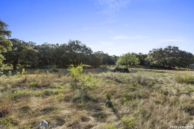 30931 FIREBIRD LN Boerne, TX 78015