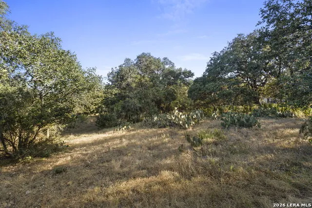 30931 FIREBIRD LN Boerne, TX 78015