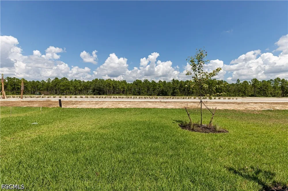 Pipevine Circle Punta Gorda, FL 33982