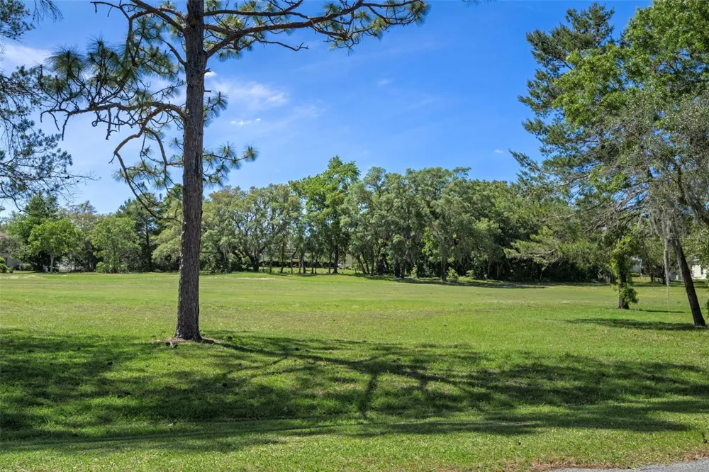 14 REDBAY COURT E Homosassa, FL 34446