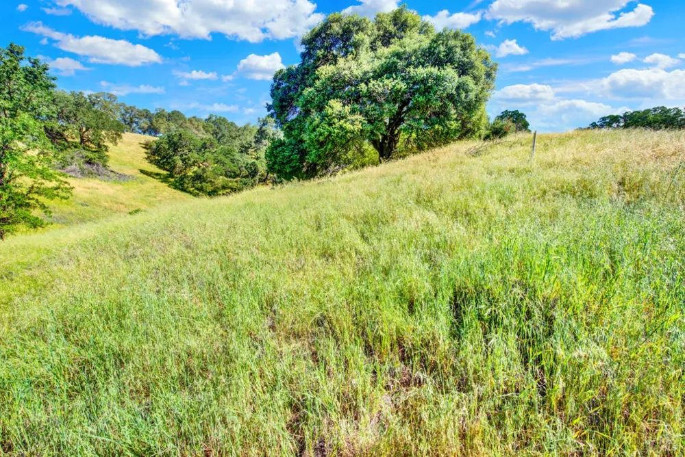 30 Oak Springs Drive Napa, CA 94558