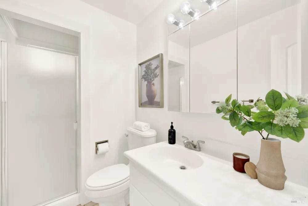30 Oak Springs Drive Napa, CA 94558