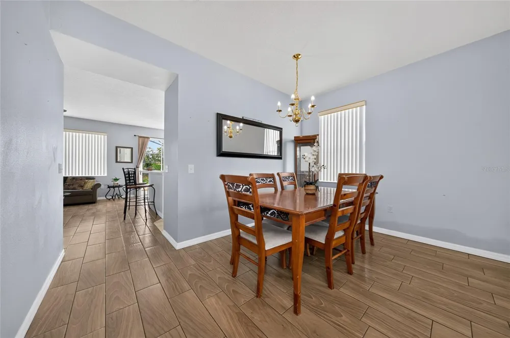 217 SAND RIDGE DRIVE Davenport, FL 33896