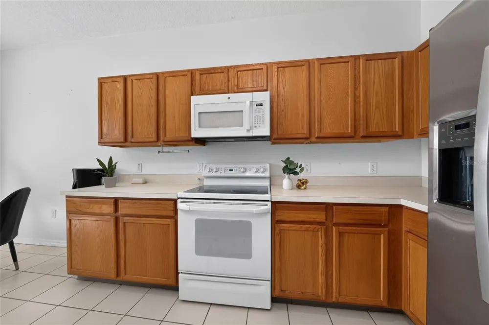 217 SAND RIDGE DRIVE Davenport, FL 33896