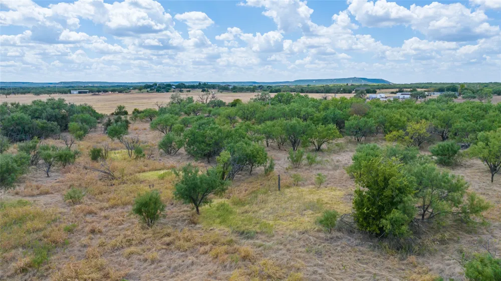 209 Fawn Lane Abilene, TX 79602