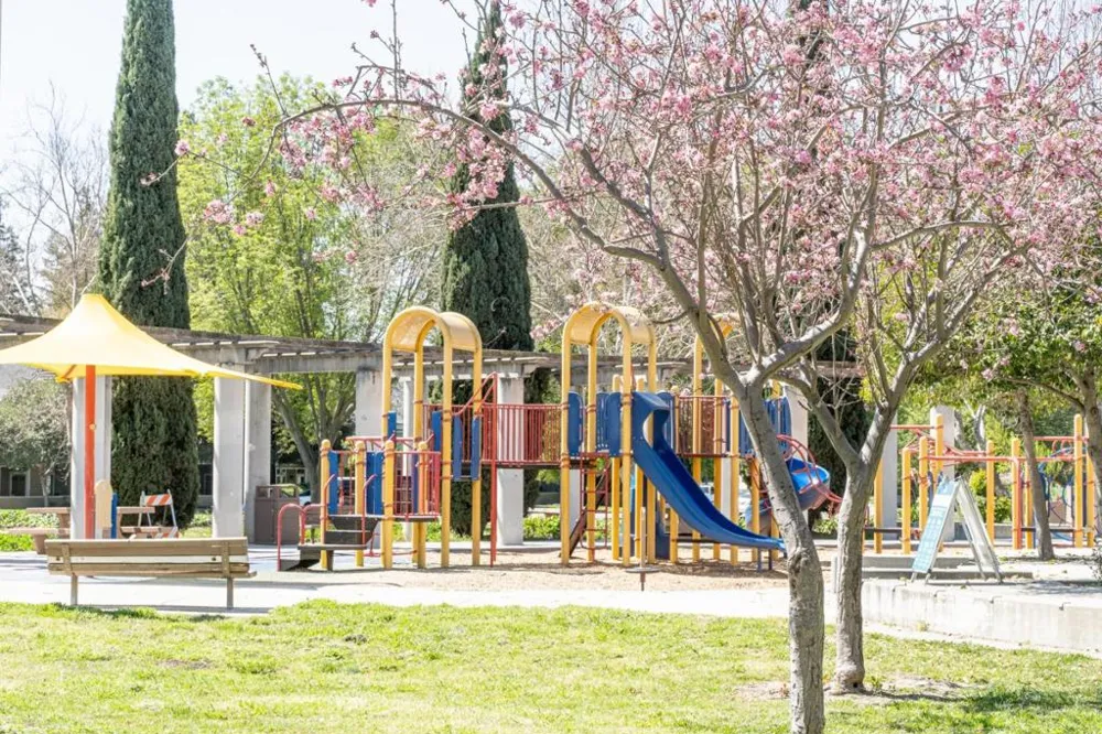 1567 Theo Drive San Jose, CA 95131
