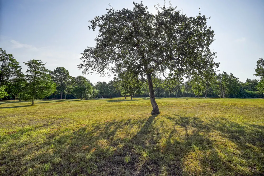 123 Split Oak Road Smithville, TX 78957