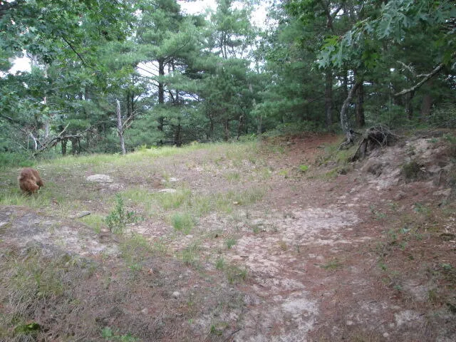 8453 Perry Avenue Pentwater, MI 49449
