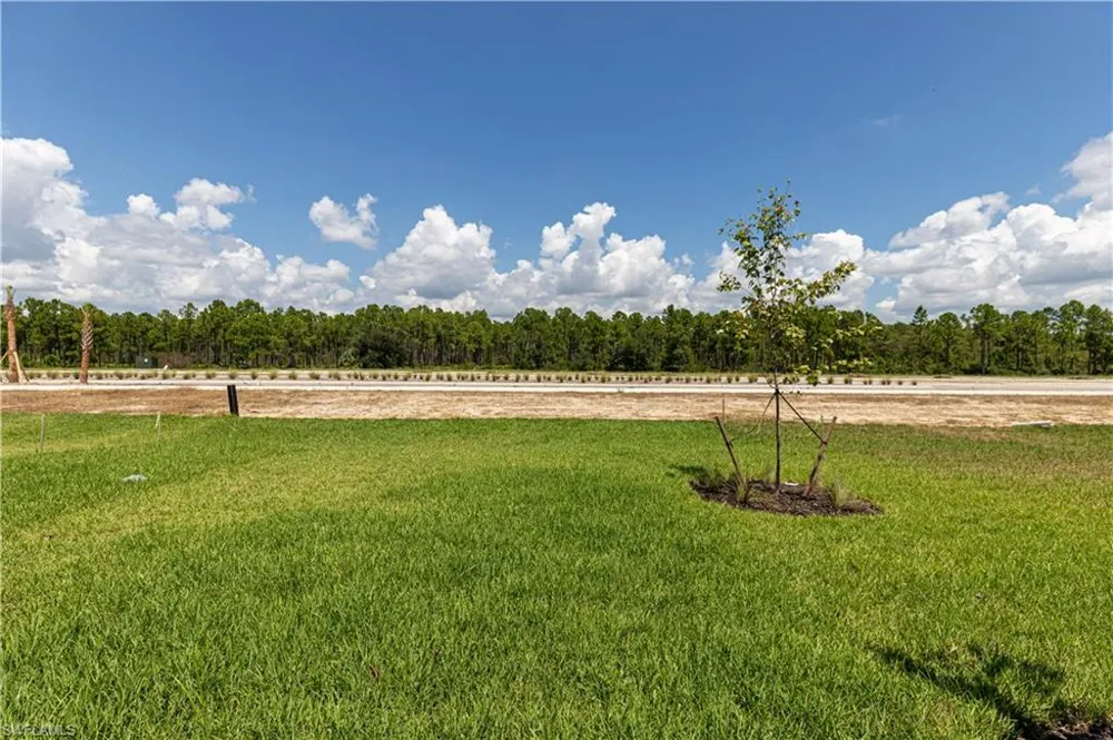 45126 Pipevine Circle Punta Gorda, FL 33982