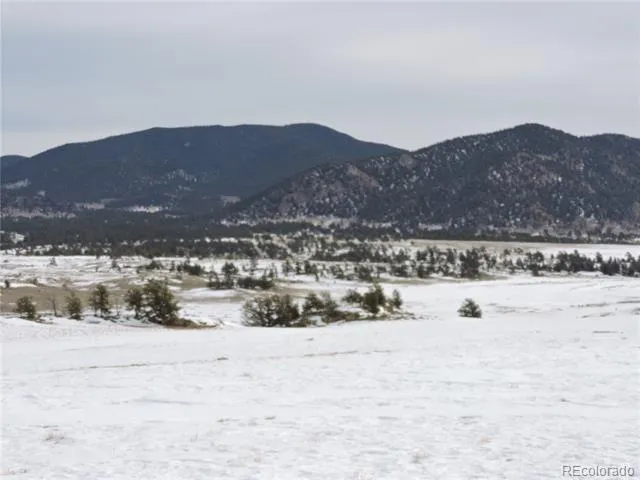 2418 Goldenburg Canyon Road Hartsel, CO 80449