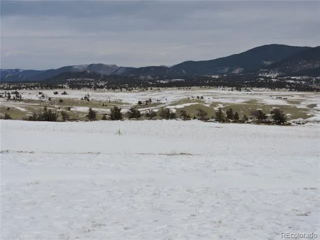 2418 Goldenburg Canyon Road Hartsel, CO 80449