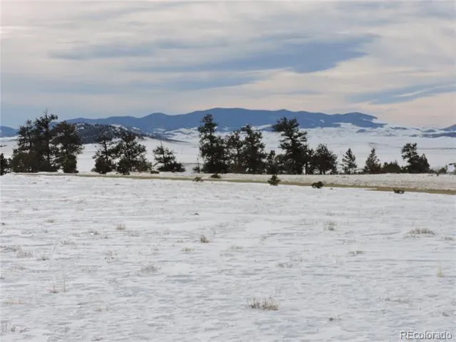 2418 Goldenburg Canyon Road Hartsel, CO 80449