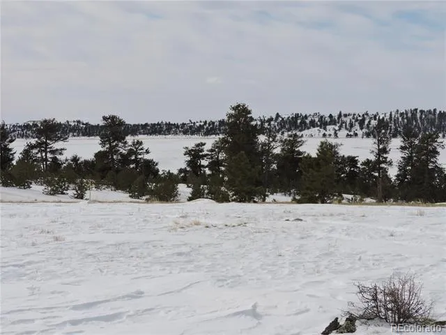 2418 Goldenburg Canyon Road Hartsel, CO 80449