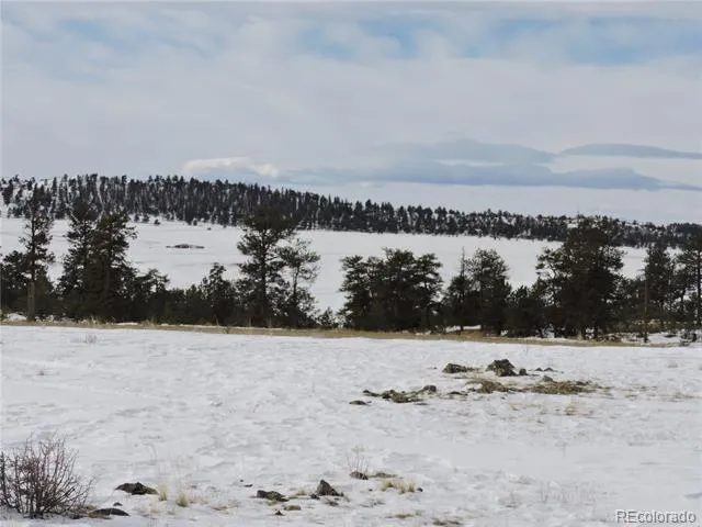 2418 Goldenburg Canyon Road Hartsel, CO 80449