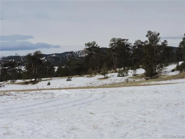 2418 Goldenburg Canyon Road Hartsel, CO 80449