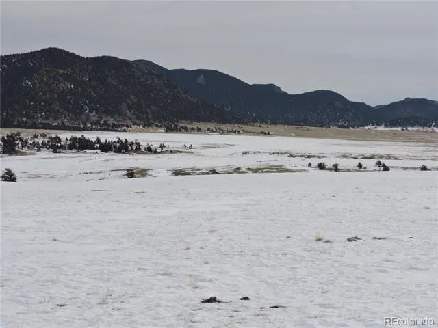 2418 Goldenburg Canyon Road Hartsel, CO 80449