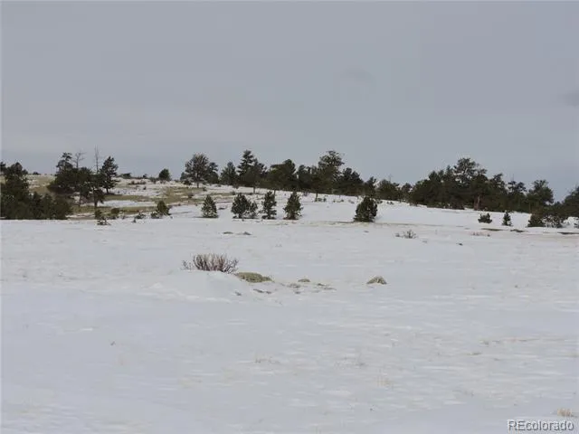 2418 Goldenburg Canyon Road Hartsel, CO 80449