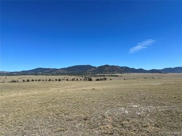 2418 Goldenburg Canyon Road Hartsel, CO 80449