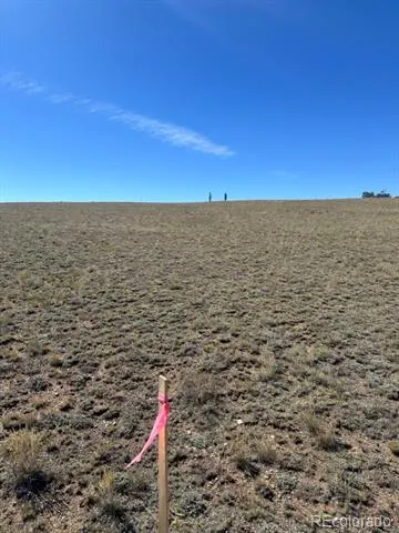 2418 Goldenburg Canyon Road Hartsel, CO 80449