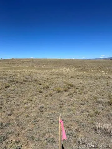 2418 Goldenburg Canyon Road Hartsel, CO 80449