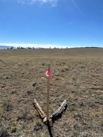2418 Goldenburg Canyon Road Hartsel, CO 80449