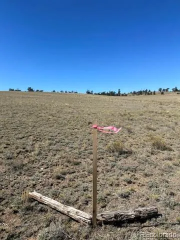 2418 Goldenburg Canyon Road Hartsel, CO 80449
